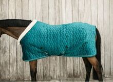 Kentucky Horsewear Showrug Velvet Emerald in 145cm Neu Kentucky Horsewear