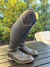 Kingsley size 41 MC-XXL Kingsley Aspen 02 Special