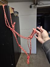 Knotenhalfter, Knoti WB Brockamp 