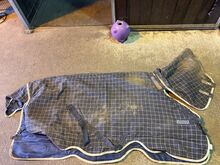 300g 6ft rhino turnout rug