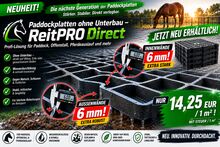 Paddockplatten & Rasengitter kaufen, ideale Paddockgitter ohne Unterbau ReitPRO40 MEGASPAR - Online Shop Rasengitter | Paddockplatten | Kunststoffmatten & Parkplatzgitter 