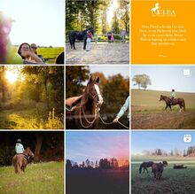 Kommunikation, Lebensfreude, Entwicklung, Augenblick Klea - für Menschen mit Pferd