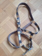 Pferdehalfter Warmblut