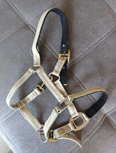 Halfter Pony