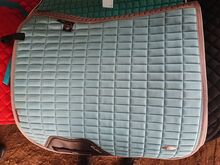 LeMieux Airmesh babyblue DR LeMieux