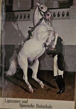 Lippizaner und Spanische Reitschule