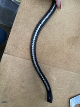 Loesdau Stirnriemen WB Loesdau