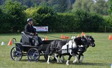 Marathonwagen für K-Ponies