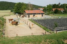 Platz in Bewegungsstall / Offenstall - Nähe Göttingen/Witzenhausen