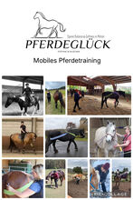 Mobiles Pferdetraining & Reitunterricht