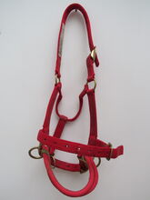 Monty Roberts Dually Halter and DVD Monty Roberts Dually Halter