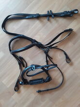 NEU 2x Zügel 2x Trensenzaum Trense Martingale Leder WB Full