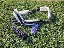 Neues Harrys Horse Halfter Set schwarz mit Plüsch Full Harrys Horse