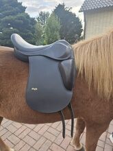 Neuwertiger Sattel Hrafn Tölthester - Isländer Tölthester Hrafn