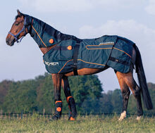 NEW BEMER Horse Premium Set BEMER BEMER Horse Premium Set 