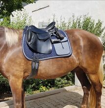 Endurance Saddle 