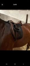 Oakfield House 17" medium  show saddle