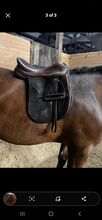 Oakfield House 17" medium  show saddle