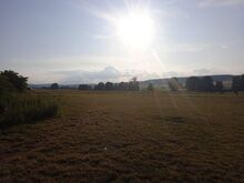 Offenstallplätze Frei