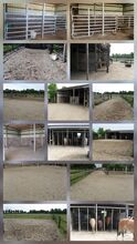 Offenstall in Datteln
