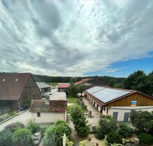 Pferdepflege/Stallhilfe für Reiterhof gesucht (m/w/d)
