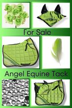 Parakeet green set Angel Equine 