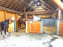 Einstellplatz auf meinem privaten Vierkanthof im Waldviertel
