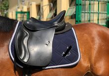 Pegasus Butterfly MP Vielseitigkeitssattel – Neuwertig – zu verkaufen Butterfly Pegasus