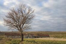 Pension,breaking,breeding