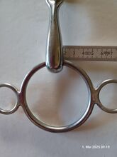 Pessoa Drei-Ring-Trense - massiv - 14,5