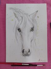 Pferd Aquarelle handgemalt