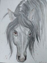 Pferd Grau Aquarelle handgemalt