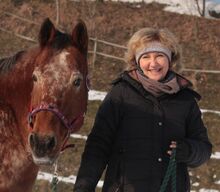 Pferde-Physio-Osteotherapie Physio-Osteotherapie Pferd, Tierenergetik, Tierkommunikation