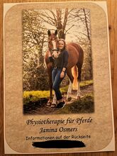 Pferde Physiotherapie