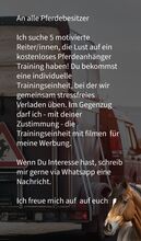 Pferdeanhänger-Training