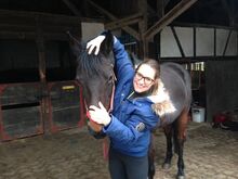 Pferdephysiotherapie und Pferdeosteopathie