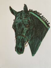 Pferdeportrait Diarado direkt von der Künstlerin Pferdebild, Pferdeportrait vom Holsteiner Hengst Diarado