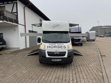 Pferdetransporter 2 Seitenrampen Nur 20500KM Viehtransporter Tiertransporter Dickenherr Dickenherr 2 Ride 