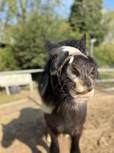 Pflegebeteiligung gesucht