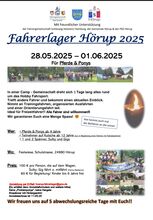Kutsche, Training, Fahrerlager, Pony, Shetty