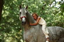 PRE Hengst mit wundervollem, klaren Charakter - 1.65 m - Yeg. Militar