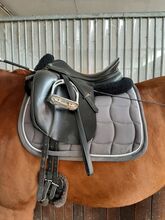 Prestige Top Dressage sp Prestige Top Dressage