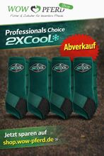 Professionals Choice 2X COOL ValuePack Medium EMERALD / SMARAGDGRÜN Professionals Choice 2XCOOL