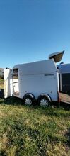 Westfalia Pferdeanhänger, EZ 07/98, TÜV bis 08/27, 2t Nutzlast Westfalia  Jupiter 