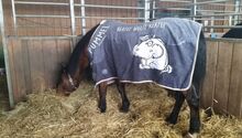 Pummeleinhorn Abschwitzdecke 145 cm – „Kekse? Welle Kekse?“ EQuest × Pummeleinhorn Abschwitzdecke „Kekse? Welle Kekse?“