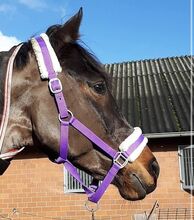 lila Halfter mit Lammfell und Strick Größe Warmblut Horze