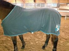 Horse Blankets, Sheets & Coolers