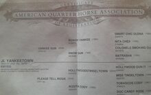 QH Stute 3.j