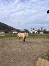 Quarter sucht Lebensplatz