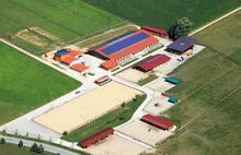 Equestrian Properties 